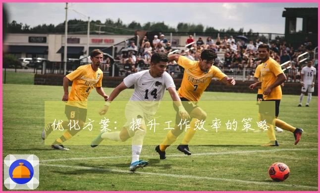 优化方案：提升工作效率的策略