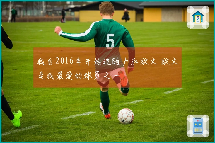 我自2016年开始追随卢和欧文 欧文是我最爱的球员之一