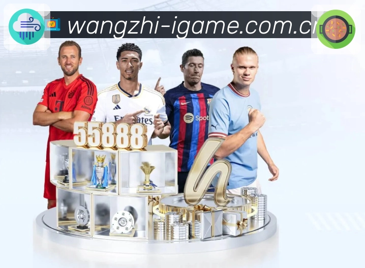 全球访问热力图